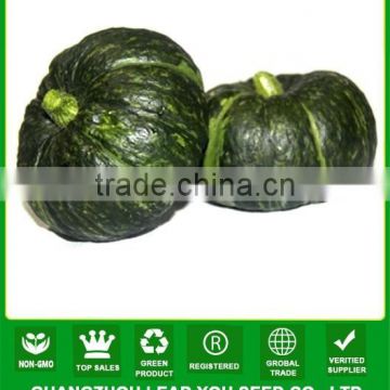 MPU08 BQ no.4 rough hybrid green pumpkin seeds f1,hybrid vegetable seeds