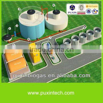 PUXIIN durable sustainable development medium and large size biogas digester