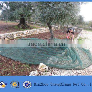 high quality green olive collecting nets