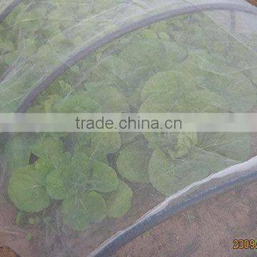 Insect Netting