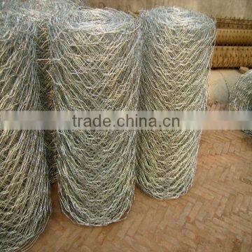 galvanized hexagonal wire mesh(electro-gavanized chicken wire netting)