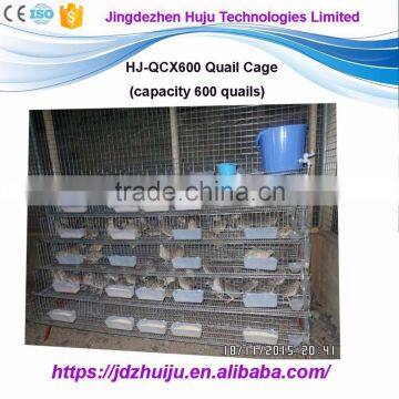 High quality poultry chicken farm supplier,chicken layer cage price HJ-QCX600