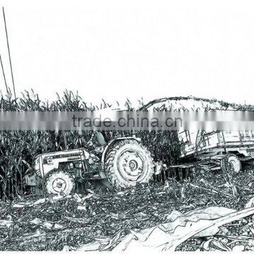 hot sale tractor PTO drived corn harvester,maize harvester with top quality