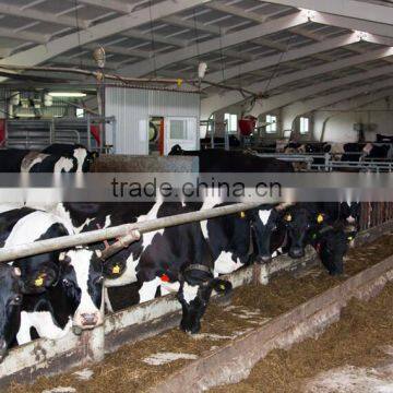 Electric Motor Feed Mixer Wagon For Farms/VERTICAL FEED MIXER/TMR FEED MIXER photo-4