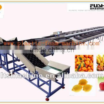 Mandarin orange grading machine