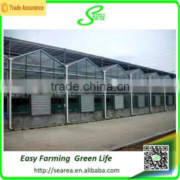 Modern Agricultural Equipments Glass Commercial Greenhouses photo-2