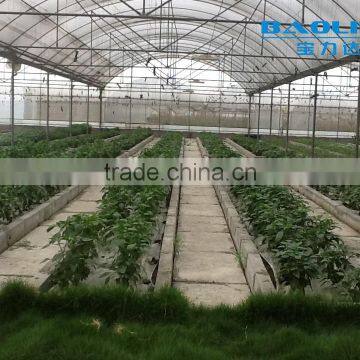 BLD Large Multi-span Plastic Film Greenhouse/agriculture Greenhouse photo-4