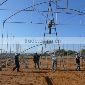 Low Cost Greenhouse photo-4