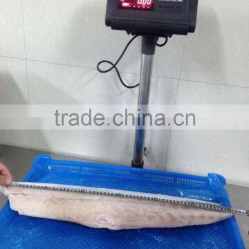 Fast Delivery Sea Frozen Mahi Mahi Fillet With Whole Round photo-2
