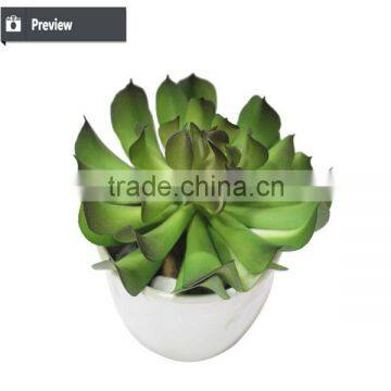Varied Artificial Succulents Wholesale Artificial Mini Succulents Potted photo-6