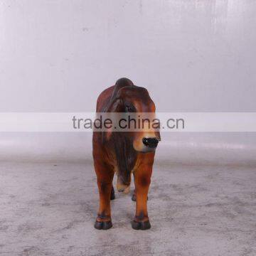 Definitive Brahman Looking Left photo-2