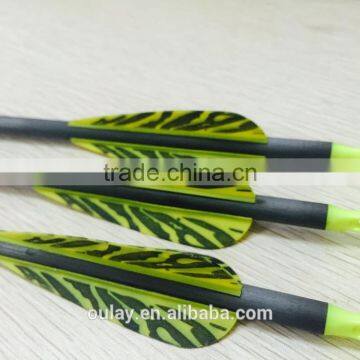 Striped Plastic Vanes Carbon Arrows With Pin Nocks photo-6
