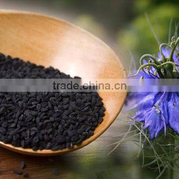 Nigella Sativa Extract photo-2