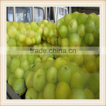 50*80cm, 35g red 50kg pp bags for potato mesh bag