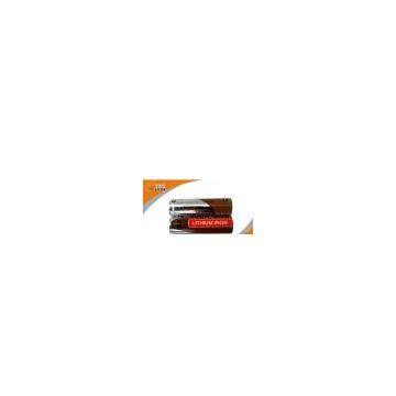 1.5V AA 2900mAh Primary Lithium Battery with High Capacity