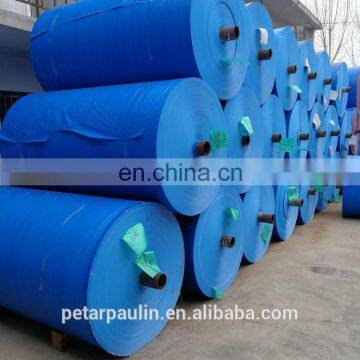 China Powerful Tarpaulin Factory Directly Sell, PE Tarpaulin Sheet, Made of 100% Polyethylene photo-5
