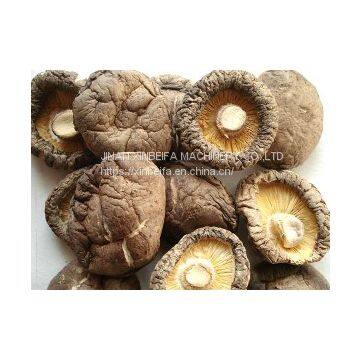 Сухильная машина для грибов photo-4