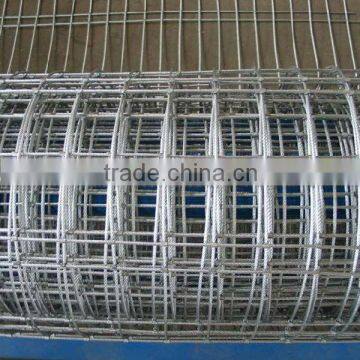 Welded Wire Mesh with personal factory