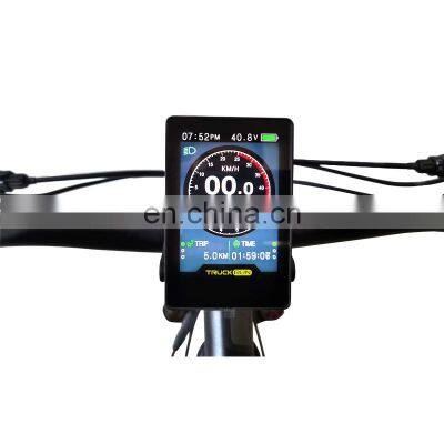 Hotselling 26inch Alloy Frame Electric Bicycle Beach Ebike 36v 250w Electric Mountain Bike