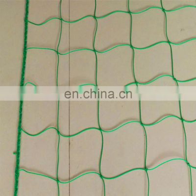 Tomato Used PE Green Plastic Support Net / plant Climbing Net