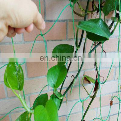 China Plastic Cucumber Climbing Net Garden Trellis Netting