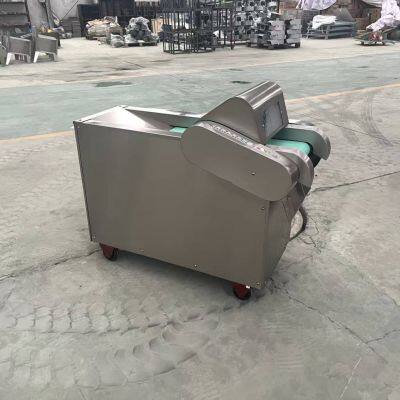 Stainless Steel Vegetable Chopper With IP65 Waterproof Rating for Wet Environments