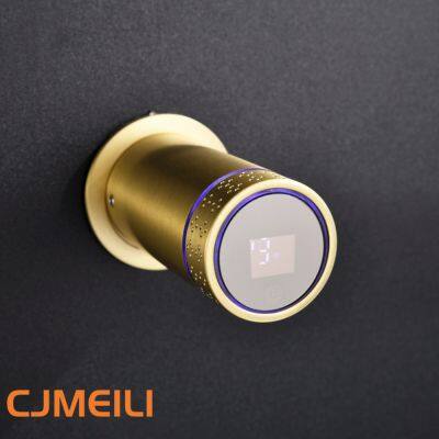 Bathroom Electric Heated Towel Rack, Towel Warmer for Bathroom, Wall Mounted Stainless Steel,3 Colours photo-3