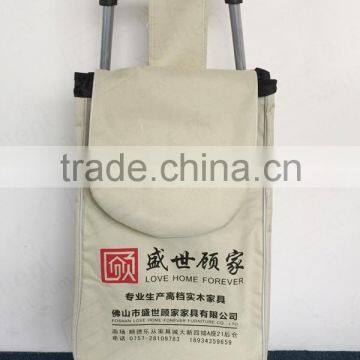 Shopping trolley bag