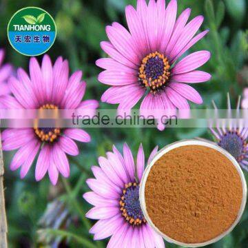 Herbal Echinacea Purpurea Extract Phenols