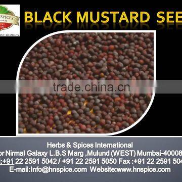 Black Mustard Seeds