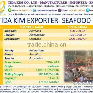 FROZEN WHOLE BABY OCTOPUS VULGARIS CLEANED BABAY OCTOPUS SHRIMP TIDA KIM LOPSTER VIETNAM FISH FILLETS BASA FRESH ALIVE NATURAL photo-2