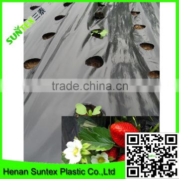 china factory directly offer black plastic mulch film with holes used for vegetable planting