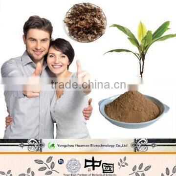 Alibaba kacip fatimah labisia pumila extract Lady sexy goods