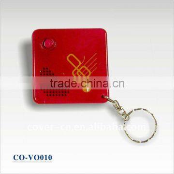 Cheapest Promotional Sound keychain
