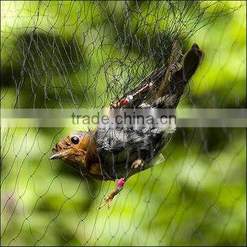 Mist net 16mm mesh 4 pockets for small passerines