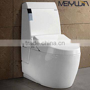 Electronic Toilet /Intelligent Toilet with Hygienic Toilet Seat