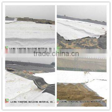Composite Geonet for landfill and drainage
