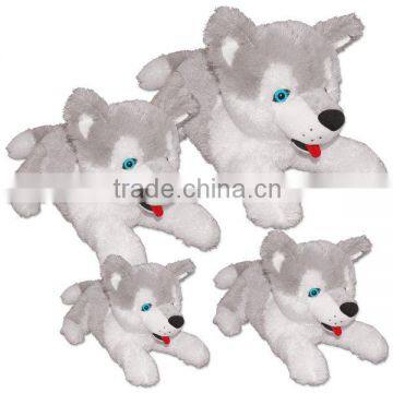 husky dogs