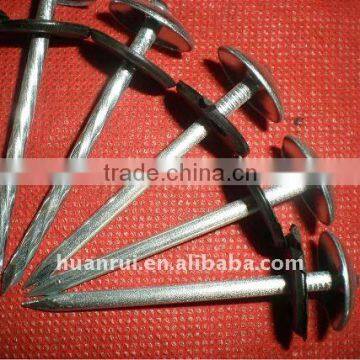 galvanized roofing nails