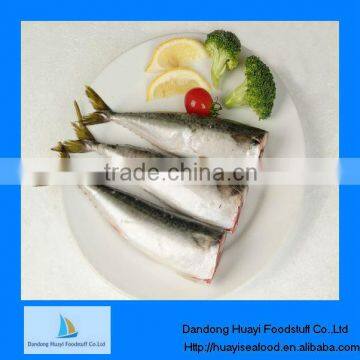 IQF cooked mackerel cut