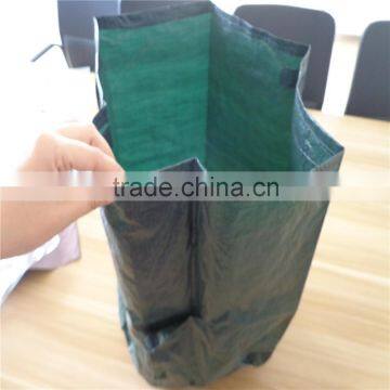 90 gsm pe custom tomato plant bag grow nursery PE bag with handle and side window