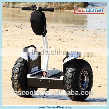 Self-Balancing 2 Wheels Electric Chariot with CE Rohs FCC listed