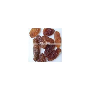 California Thompson Seedless,champion Raisins