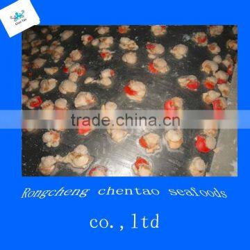 frozen scallops conch shell clam meat