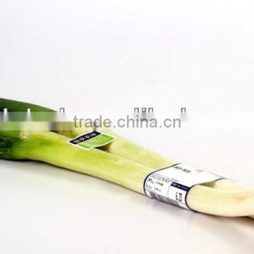 Self Adhesive Roll Label PP for Food photo-2