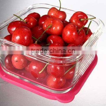 Glass Food Container With Silicone Cover