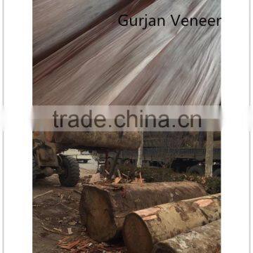 Rotary cut gurjan face veneer 1250x2500x0.3mm from BURMA