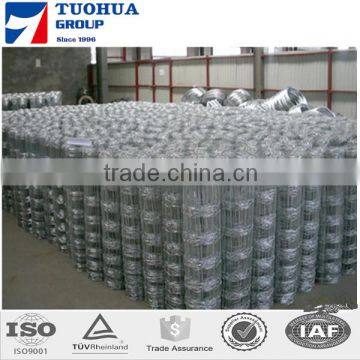 High Strength Galvanized Wire Knitted Wire Mesh Hinge Joint Goat Mesh Field Fencing
