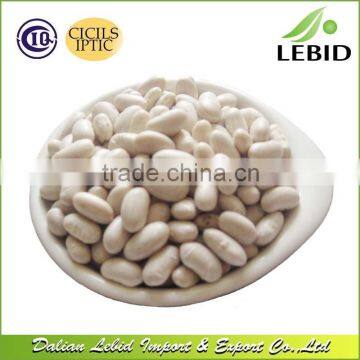 2016 Crop Wholesale White Beans Long Shape for Sales photo-2