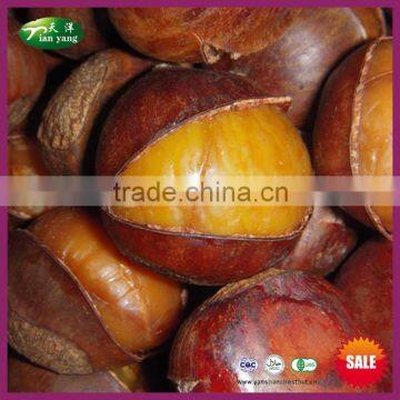 Sell Natural Frozen Roasted Ringent Chestnut with Shell